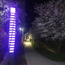 동구도서관 이미지