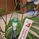 베스트올 제일 이미지