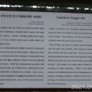 창원 웅천빙고지 이미지