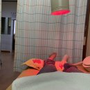 태영당한의원 이미지