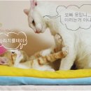 헐