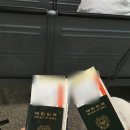노량마켓 | 2026. 05 | 당일치기로 다녀온 대마도 히타카츠 ! 별 500개 여행지 ₊⁺⊹