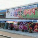 신단양축산프라자 이미지