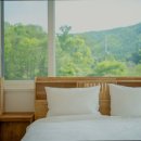 디비제이 이미지