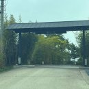 무이림5 이미지