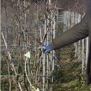 한림농원 이미지