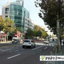 꿀벌공인중개사사무소 이미지