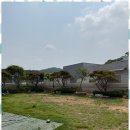 댕댕이의하루