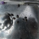 삼사목장 이미지