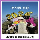 진해만 생태숲 학습관 | 진해 천자봉 높이 등산 후기