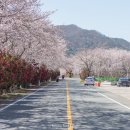 신마산주유소 이미지