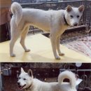 봉순이 이미지