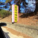 용댕이매운탕 이미지