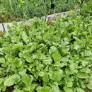 우만농장 이미지