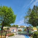 나무이야기 이미지