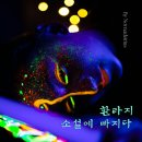 환타지 티스토리