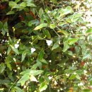 부영화원 이미지