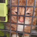 원세차장 이미지