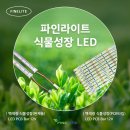 이노애드 네이버블로그