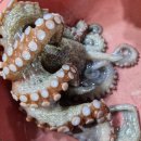 나무민박 이미지