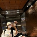 예스타운 | {시드니 숙소 추천} 예스 YEHS 호텔 하버 스위트 3인 투숙 후기 :: 각자 침대에 주방까지 갖춘 가성비...