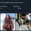 수풀림부대찌개 | 잠만이거구라죠