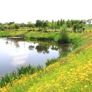 악양생태공원 이미지