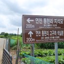 연천통현리지석묘 이미지