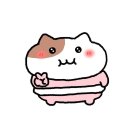 국원고 | (3월라이프