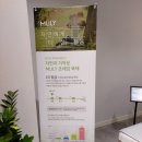 밀리마이스터소파 | 신혼침대추천 밀리 마이스터 매트리스 라지킹 침대 구매 후기
