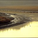 순천만 쉼표 이미지