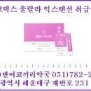 팜코덱스 이미지
