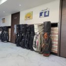 다인스크린골프 이미지