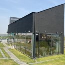 둘리애견 이미지