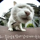 앙 이미지