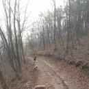 산속의 아침 이미지