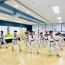 용인대 한별 태권도장 이미지