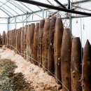 매향주유소 이미지