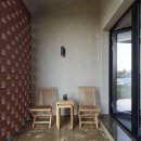 제주토끼 이미지