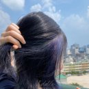살롱이즈 이미지
