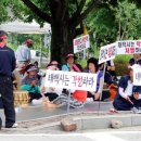 태백시청후문 이미지