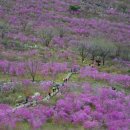 비슬산휴양림관리사무소 이미지