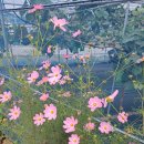 경주 둥지가족펜션 이미지