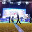 남포항 다목적광장 이미지