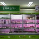 우리동네캠핑장 이미지