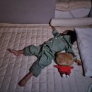 우치흑염소 이미지