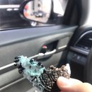 더벤티언양