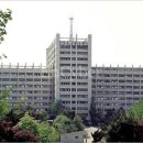 인천목향초등학교 이미지