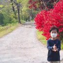 대전실내테니스팡 네이버블로그