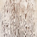 동구보건소 치매안심센터 이미지